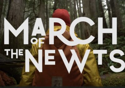March of the Newts