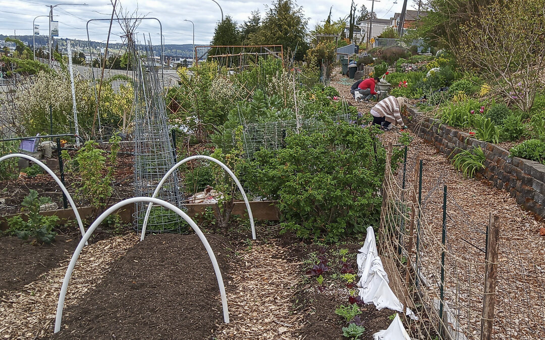 Community Gardens
