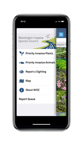Washington Invasives mobile app