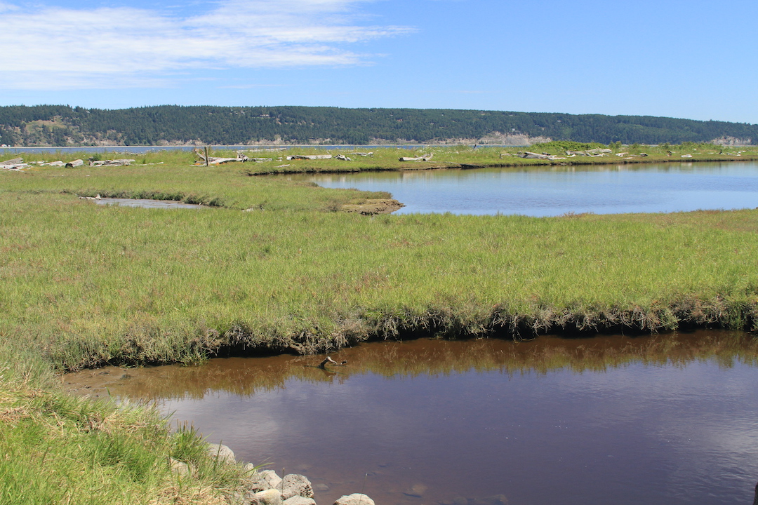 Estruary water and sand