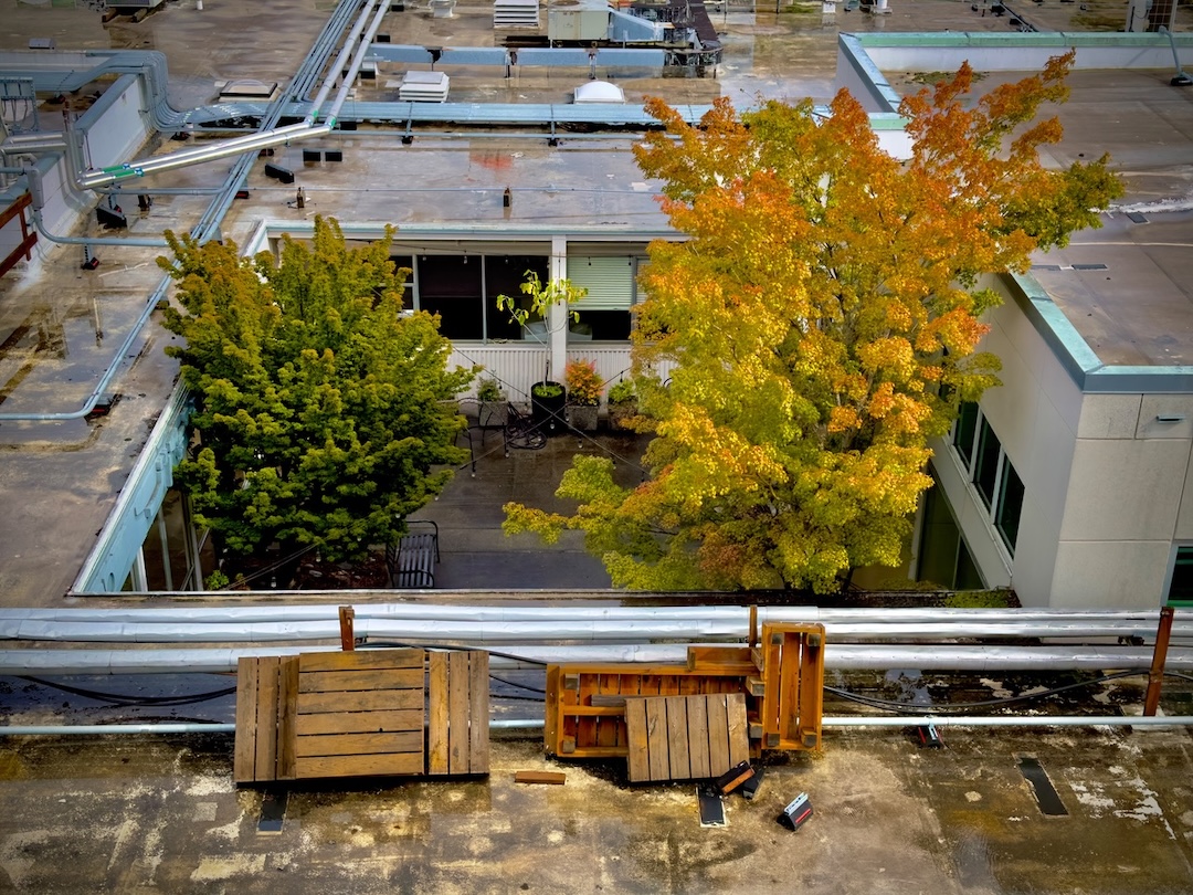 Autumn in the courtyard