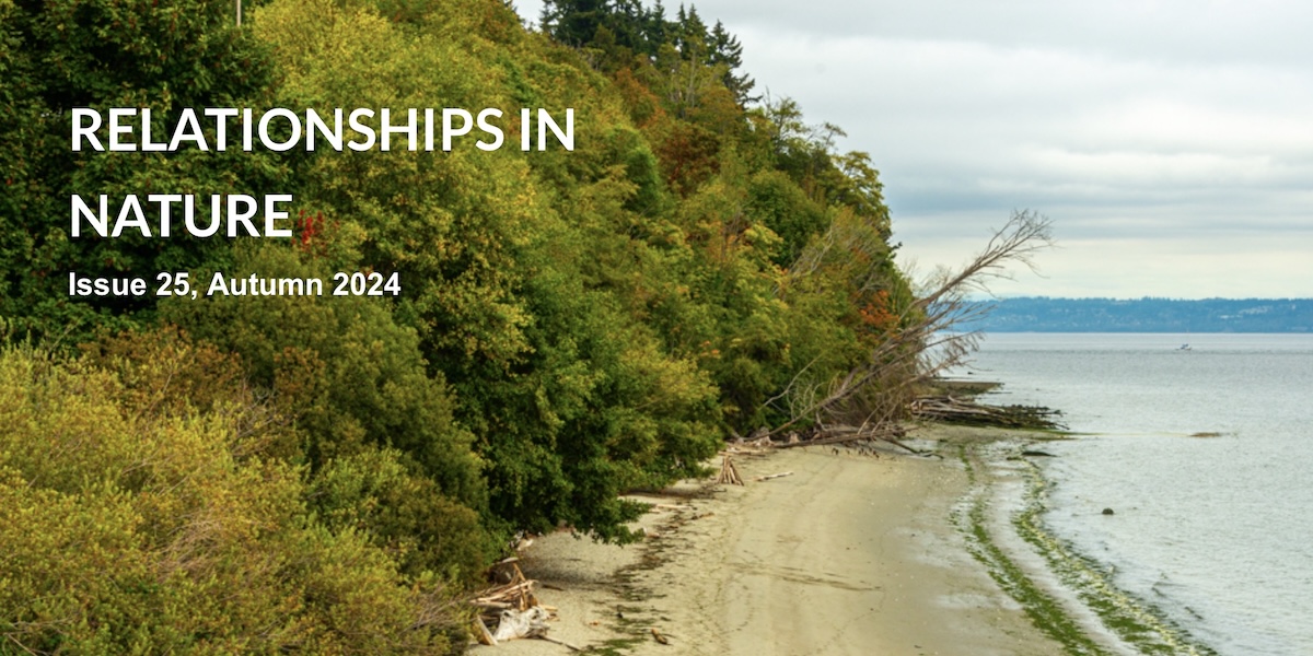 Issue 25 Cover page Issue 25 Cover page