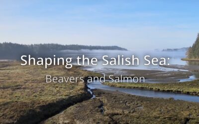 Shaping the Salish Sea