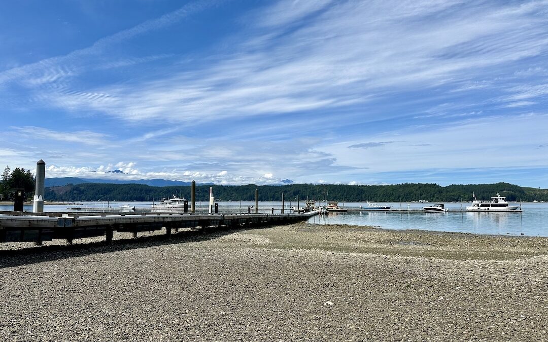 Sticky Subjects in the Intertidal