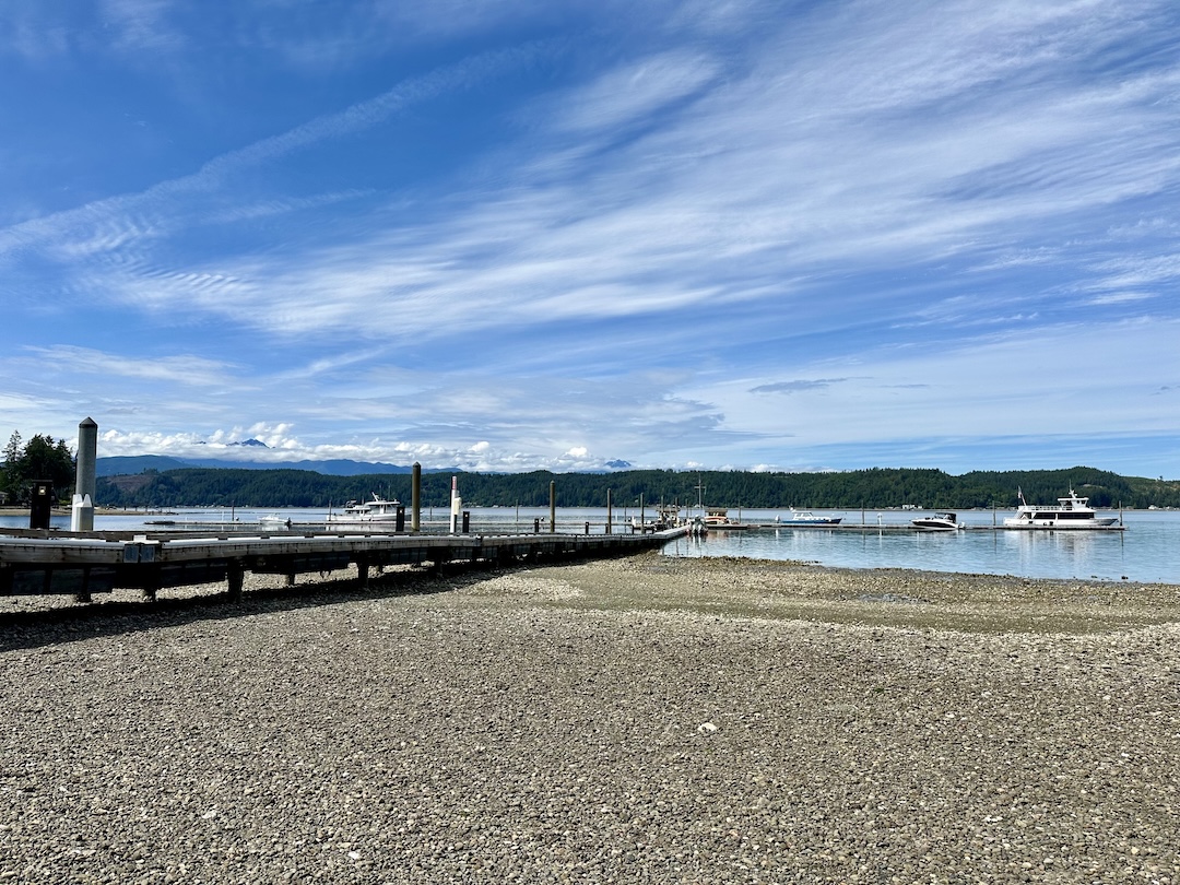 Intertidal zone full of creatures with sticky superpowers