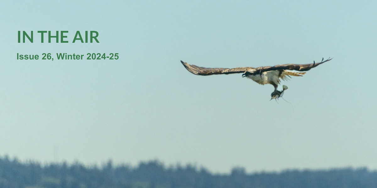 Issue 26 header Issue 26 header