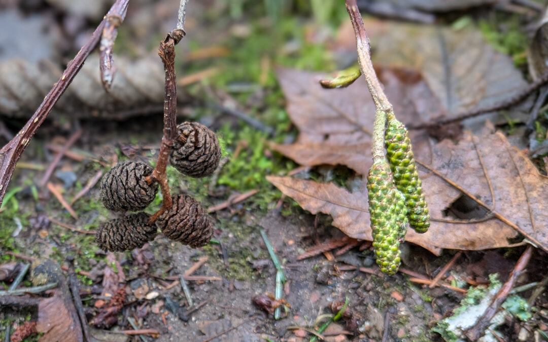 Aerial Relationships
