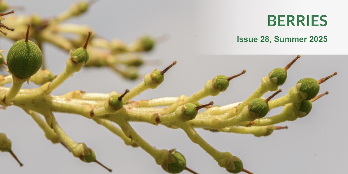 Issue page header for Berries Issue Issue page header for Berries Issue