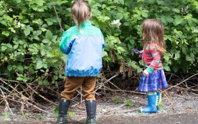 Nature Walk in Berry-land