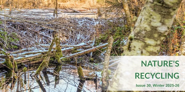 Issue 30 header Issue 30 header