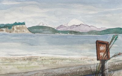 Nature’s Recyclers — Big picture