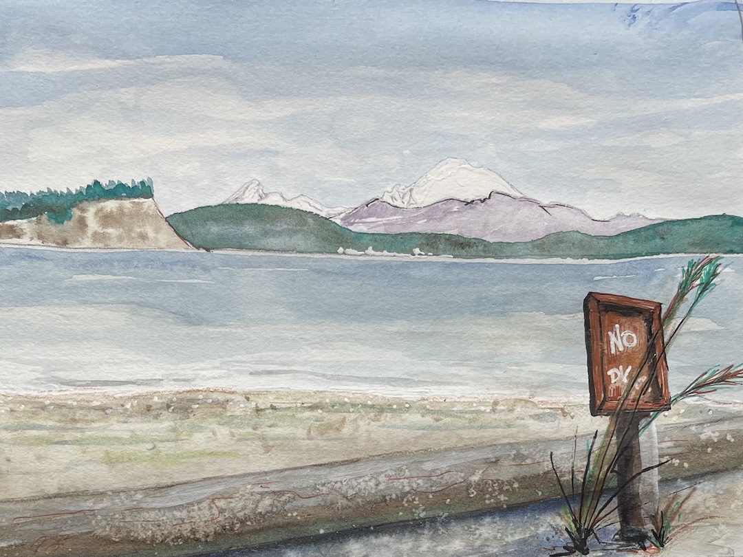 Norwegian Point, the Salish Sea