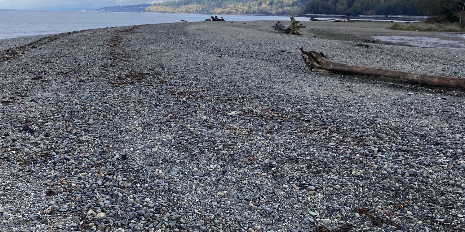 Rocky beach & driftwood