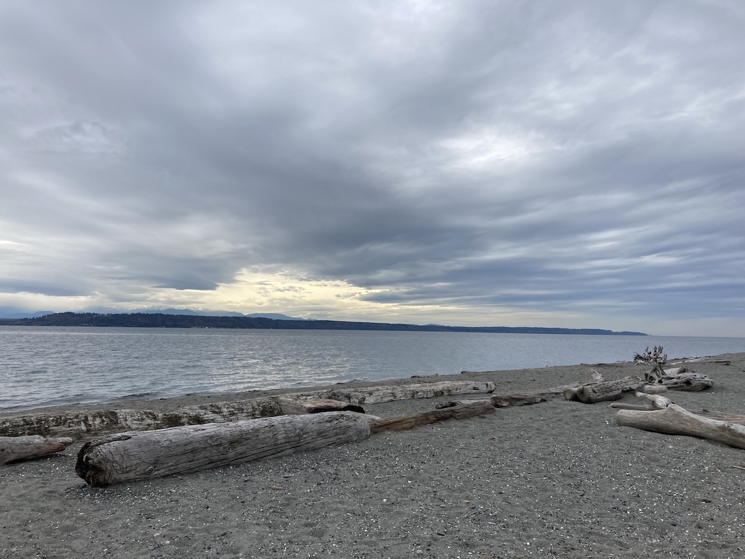 driftwood logs on beach